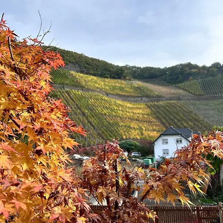 Ferienhaus Rauszeit Dernau