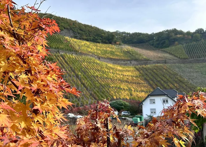 度假居 Rauszeit 德尔瑙